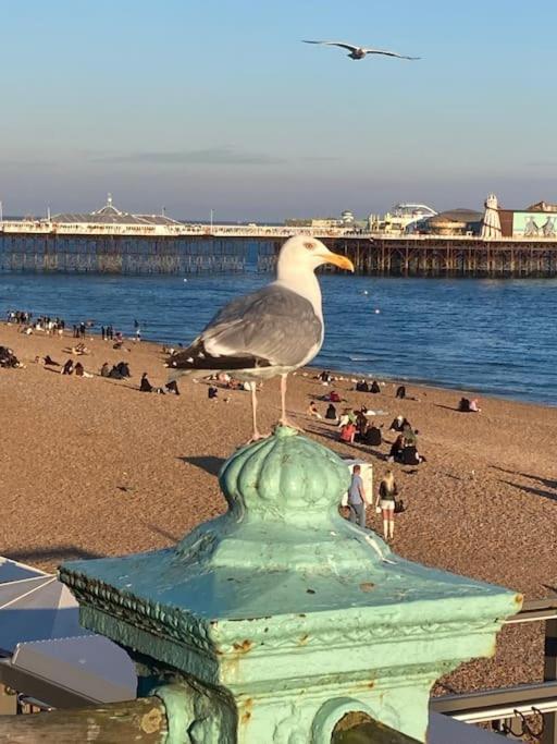 Regency Brighton Seafront Apartment Exterior photo